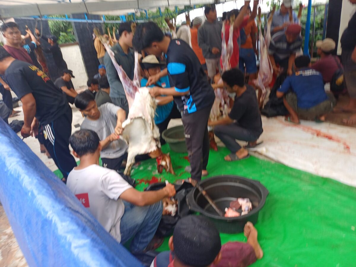 Ratusan hewan di sembelih di Masjid Al Jihad Tiban, Sekupang, Batam. Foto:Panca/matapedia