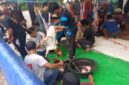 Ratusan hewan di sembelih di Masjid Al Jihad Tiban, Sekupang, Batam. Foto:Panca/matapedia
