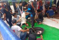 Ratusan hewan di sembelih di Masjid Al Jihad Tiban, Sekupang, Batam. Foto:Panca/matapedia