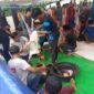 Ratusan hewan di sembelih di Masjid Al Jihad Tiban, Sekupang, Batam. Foto:Panca/matapedia