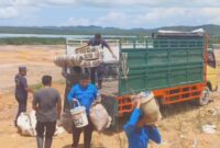 Petugas BP Batam saat bantu proses pemindahan barang warga Rempang beberapa waktu lalu. Foto; Istimewa