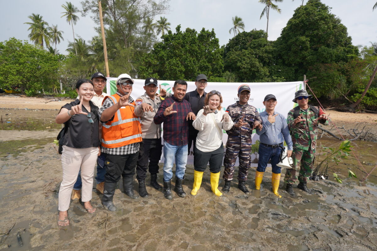 PT BSP tanam mangrove di Tanjung Sauh. Foto: Istimewa