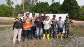 PT BSP tanam mangrove di Tanjung Sauh. Foto: Istimewa
