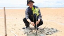 Kepala BP Batam/ Wali Kota Batam Amsakar Achamad saat tanam mangrove, Sabtu (9/5/2026). Foto: Istimewa