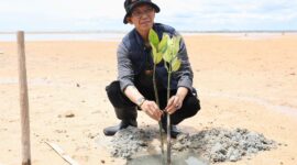 Kepala BP Batam/ Wali Kota Batam Amsakar Achamad saat tanam mangrove, Sabtu (9/5/2026). Foto: Istimewa