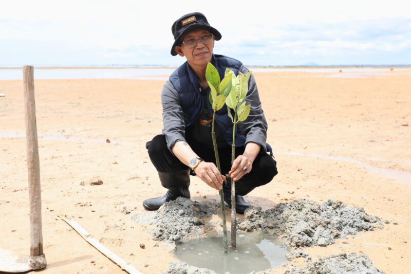 Kepala BP Batam/ Wali Kota Batam Amsakar Achamad saat tanam mangrove, Sabtu (9/5/2026). Foto: Istimewa
