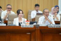 Wakil Ketua Andre Rosiade dalam Rapat Dengar Pendapat (RDP) bersama BP Batam di Gedung Nusantara I, Rabu (17/6/2026). Foto: Humas BP Batam