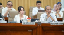 Wakil Ketua Andre Rosiade dalam Rapat Dengar Pendapat (RDP) bersama BP Batam di Gedung Nusantara I, Rabu (17/6/2026). Foto: Humas BP Batam
