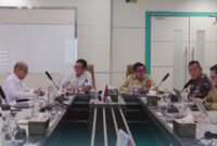 Wakil Kepala Badan Pengelola (BP) BUMN, Aminuddin Ma’ruf, bersama Managing Director Business 2 Danantara, Setyanto Hantoro, turun langsung ke PLN Batam. Foto:Screenshot/PLN Batam