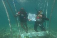 petugas Pertamina di laut Sumbar. Foto:Istimewa