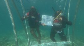petugas Pertamina di laut Sumbar. Foto:Istimewa