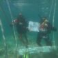 petugas Pertamina di laut Sumbar. Foto:Istimewa