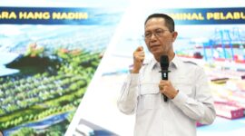 Kepala BP Batam Amsakar Achmad. Foto:Ist