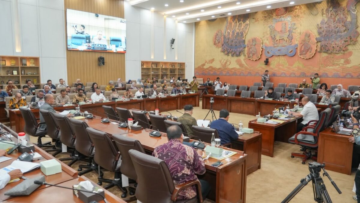 Amsakar dalam Rapat Dengar Pendapat (RDP) bersama Komisi VI DPR RI di Jakarta, Kamis (16/7/2026). Foto:Humas BP Batam