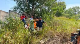 Evakuasi korban yang diduga tewas gantung diri. Foto:Istimewa