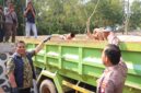 Polisi melihatkan mobil truk yang diduga angkut pasir ilegal di Nongsa dan saat ini disita untuk jadi barang bukti di Polda Kepri, Jumat (14/8/2026). Foto:Humas Polda Kepri