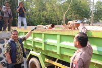 Polisi melihatkan mobil truk yang diduga angkut pasir ilegal di Nongsa dan saat ini disita untuk jadi barang bukti di Polda Kepri, Jumat (14/8/2026). Foto:Humas Polda Kepri