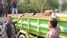 Polisi melihatkan mobil truk yang diduga angkut pasir ilegal di Nongsa dan saat ini disita untuk jadi barang bukti di Polda Kepri, Jumat (14/8/2026). Foto:Humas Polda Kepri