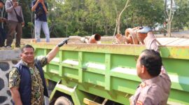 Polisi melihatkan mobil truk yang diduga angkut pasir ilegal di Nongsa dan saat ini disita untuk jadi barang bukti di Polda Kepri, Jumat (14/8/2026). Foto:Humas Polda Kepri