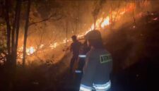 Petugas gabungan padamkan api lahan jalan trans Barelang, Sabtu (22/8/2026). Foto:Dok. Humas Polda Kepri