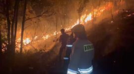 Petugas gabungan padamkan api lahan jalan trans Barelang, Sabtu (22/8/2026). Foto:Dok. Humas Polda Kepri