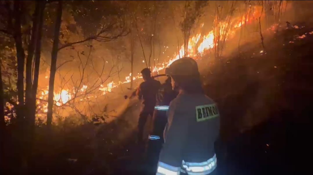 Petugas gabungan padamkan api lahan jalan trans Barelang, Sabtu (22/8/2026). Foto:Dok. Humas Polda Kepri