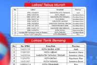 Promo Kemerdekaan Pertamina. Foto: ist