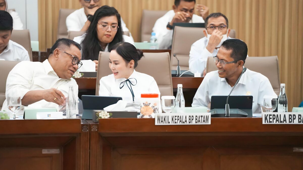 Kepala BP Batam Amsakar dan Wakil Kepala BP Batam Li Claudia saat RDP di DPR RI beberapa hari lalu. Foto: Humas BP Batam