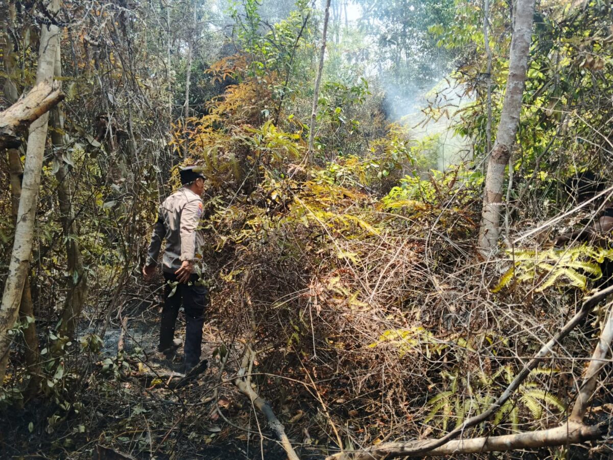 Tim gabungan TNI-Polri, BPBD, Damkar Kabupaten Lingga, dan masyarakat berhasil memadamkan kebakaran lahan di Kampung Malar, Dusun I, Desa Mepar, Kecamatan Lingga Utara, Kabupaten Lingga, Jumat (18/9/2026). Foto:Humas Polda Kepri
