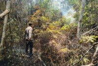 Tim gabungan TNI-Polri, BPBD, Damkar Kabupaten Lingga, dan masyarakat berhasil memadamkan kebakaran lahan di Kampung Malar, Dusun I, Desa Mepar, Kecamatan Lingga Utara, Kabupaten Lingga, Jumat (18/9/2026). Foto:Humas Polda Kepri