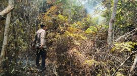Tim gabungan TNI-Polri, BPBD, Damkar Kabupaten Lingga, dan masyarakat berhasil memadamkan kebakaran lahan di Kampung Malar, Dusun I, Desa Mepar, Kecamatan Lingga Utara, Kabupaten Lingga, Jumat (18/9/2026). Foto:Humas Polda Kepri