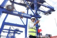 Kepala BP Batam Amsakar Achmad. Foto:Istimewa