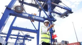 Kepala BP Batam Amsakar Achmad. Foto:Istimewa