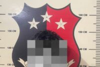 Terduga pelaku saat diamankan Polsek Bengkong. Foto:Dok. Humas Polresta Barelang