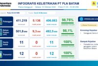 Infografis PLN Batam. Foto:Ist