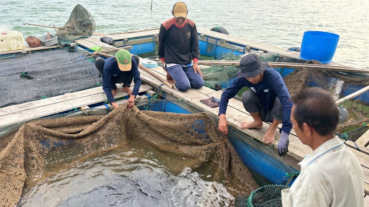 Nelayan di Kampung Tua Terih, Kelurahan Sambau, Kecamatan Nongsa, Batam. Foto: Pertamina