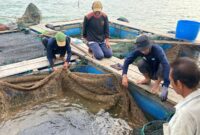 Nelayan di Kampung Tua Terih, Kelurahan Sambau, Kecamatan Nongsa, Batam. Foto: Pertamina