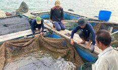 Pertamina Dampingi Warga Kampung Tua Terih Batam Olah Limbah Ikan Jadi Produk Bernilai Ekonomi